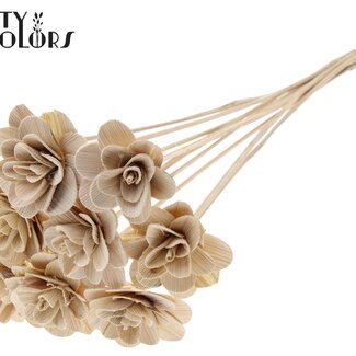 QC Shola Wooden Rose on Stick | Colour: Natural White | Shola Beetal Rose Pick | Rose Diameter 8 centimetres | Pick Length ± 50 centimetres | Per 10 picks