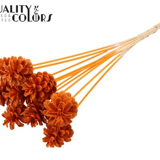 QC Pomme de pin sur tige | Couleur : Orange Intense | Diamètre de la pomme de pin 5 - 7 centimètres | Longueur ± 50 centimètres | Par 10 piques supplémentaires