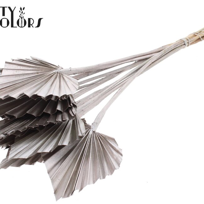 Dried Palm Spear | Colour: Champagne | Spear-shaped palm leaves | Length ± 50 centimetres | Per 10 stems