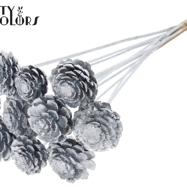 Sliced Pine Cone on Stick | Colour: Silver | Pine Cone Diameter 5 - 7 centimetres | Length ± 50 centimetres | Per 10 picks