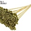 Shola Wooden Rose on Stick | Colour: Olive Green | Shola New Beauty Rose Stick | Rose Diameter 6 centimetres | Stick Length ± 50 centimetres | Per 10 sticks