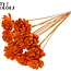 Shola Wooden Rose on Stick | Colour: Orange | Shola New Beauty Rose Stick | Rose Diameter 6 centimetres | Stick Length ± 50 centimetres | Per 10 sticks