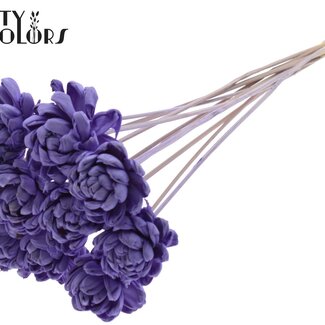 QC Shola Houten Rose sur tige | Couleur : Lilas lait | Shola New Beauty Rose Pique-fleur | Diamètre de la rose 6 centimètres | Longueur du pique-fleur ± 50 centimètres | Par 10 piques-fleurs