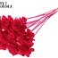 Shola Houten Roos op stok | Kleur: Kerskleurig | Shola Beauty Rose Bijsteker | Diameter roos 6 centimeter | Lengte bijsteker ± 50 centimeter | Per 10 bijstekers