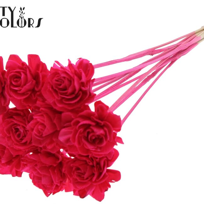 Shola Wooden Rose on Stick | Colour: Cherry | Shola Beauty Rose Stick | Rose Diameter 6 centimetres | Stick Length ± 50 centimetres | Per 10 sticks