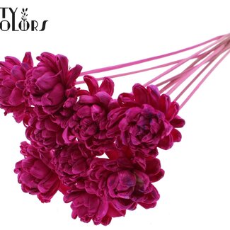 QC Shola Houten Rose auf Stiel | Farbe: Fliederfarben | Shola New Beauty Rose Einstecker | Durchmesser der Rose 6 Zentimeter | Länge des Einsteckers ± 50 Zentimeter | Pro 10 Einstecker