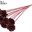 Half Pine Cone on Stick | Colour: Red | Pine cone diameter 5 - 7 centimetres | Length ± 50 centimetres | Per 10 picks
