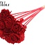 Shola Holz Rose auf Stiel | Farbe: Rot | Shola Beauty Rose Steckstab | Durchmesser der Rose 6 Zentimeter | Länge des Steckstabs ± 50 Zentimeter | Pro 10 Steckstäbe