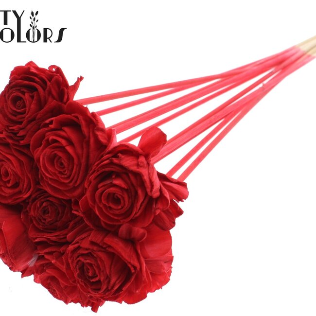 Shola Houten Rose sur tige | Couleur : Rouge | Shola Beauty Rose Pique-fleur | Diamètre de la rose 6 centimètres | Longueur du pique-fleur ± 50 centimètres | Par 10 piques-fleurs