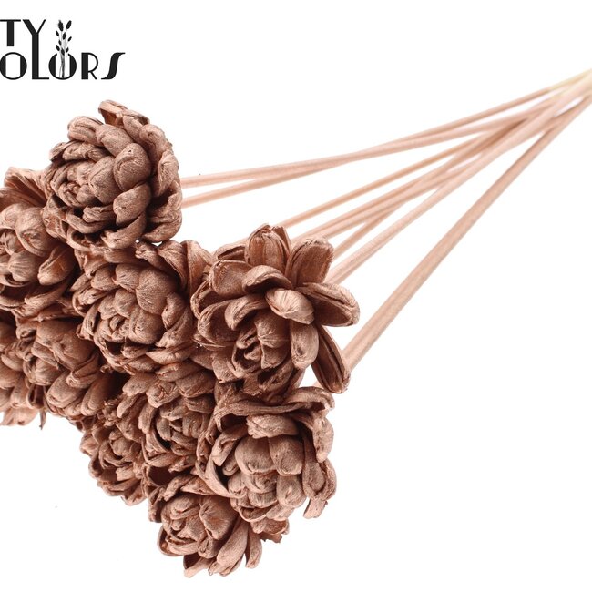 Shola Wooden Rose on Stick | Colour: Copper | Shola New Beauty Rose Stick | Rose Diameter 6 centimetres | Stick Length ± 50 centimetres | Per 10 sticks