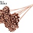 Shola Wooden Rose on Stick | Colour: Copper | Shola New Beauty Rose Stick | Rose Diameter 6 centimetres | Stick Length ± 50 centimetres | Per 10 sticks