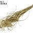Dried Palm Leaf Vein | Curly Ting Ting | Colour: Gold | Dried Decoration | Length ± 70 centimetres | Per 100 stems
