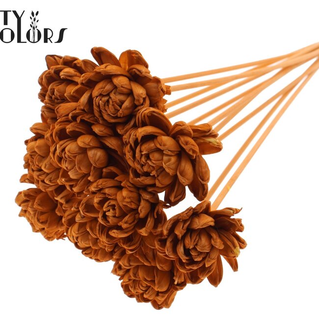 Shola Wooden Rose on Stick | Colour: Terracotta | Shola New Beauty Rose Stick | Rose Diameter 6 centimetres | Stick Length ± 50 centimetres | Per 10 sticks