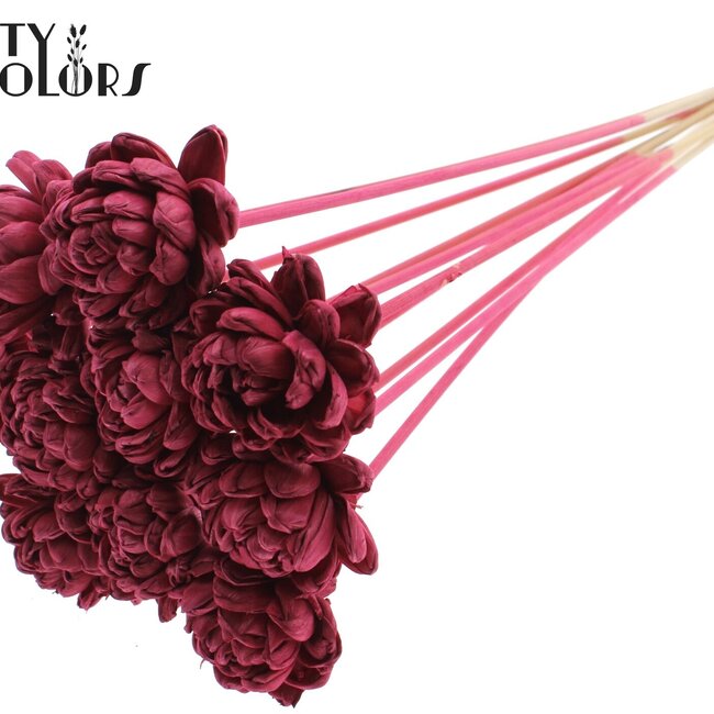 Shola Houten Roos op stok | Kleur: Bordeauxrood | Shola New Beauty Rose Bijsteker | Diameter roos 6 centimeter | Lengte bijsteker ± 50 centimeter | Per 10 bijstekers