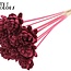 Shola Wooden Rose on Stick | Colour: Burgundy | Shola New Beauty Rose Stick | Rose Diameter 6 centimetres | Stick Length ± 50 centimetres | Per 10 sticks