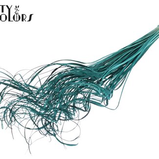 QC Gedroogd Palmblad Nerf | Curly Ting Ting | Kleur: Turquoise | Droogdecoratie | Lengte ± 70 centimeter | Per 100 takken