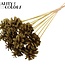 Pine cone on stick | Colour: Intense Olive Green | Pine cone diameter 5 - 7 centimetres | Length ± 50 centimetres | Per 10 picks