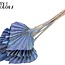 Dried Palm Spear | Colour: Light Blue Multicoloured | Palm leaves in spear shape | Length ± 50 centimetres | Per 10 stems