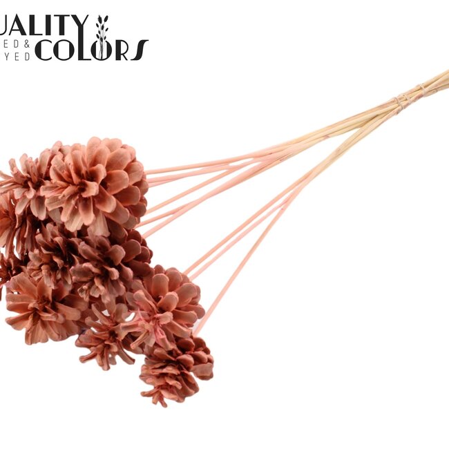 Pomme de pin sur tige | Couleur : Rose Intense | Diamètre de la pomme de pin 5 - 7 centimètres | Longueur ± 50 centimètres | Par 10 pics d'insertion