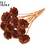 Sliced Pine Cone on Stick | Colour: Orange | Pine cone diameter 5 - 7 centimetres | Length ± 50 centimetres | Per 10 picks