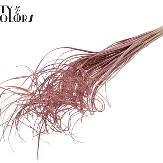 QC Dried Palm Leaf Vein | Curly Ting Ting | Colour: Light Pink | Dried Decoration | Length ± 70 centimetres | Per 100 stems
