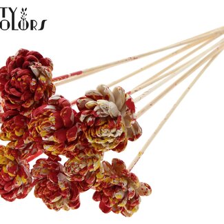 QC Shola Houten Roos op stok | Kleur: Meerkleurig Rood Geel | Shola New Beauty Rose Bijsteker | Diameter roos 6 centimeter | Lengte bijsteker ± 50 centimeter | Per 10 bijstekers