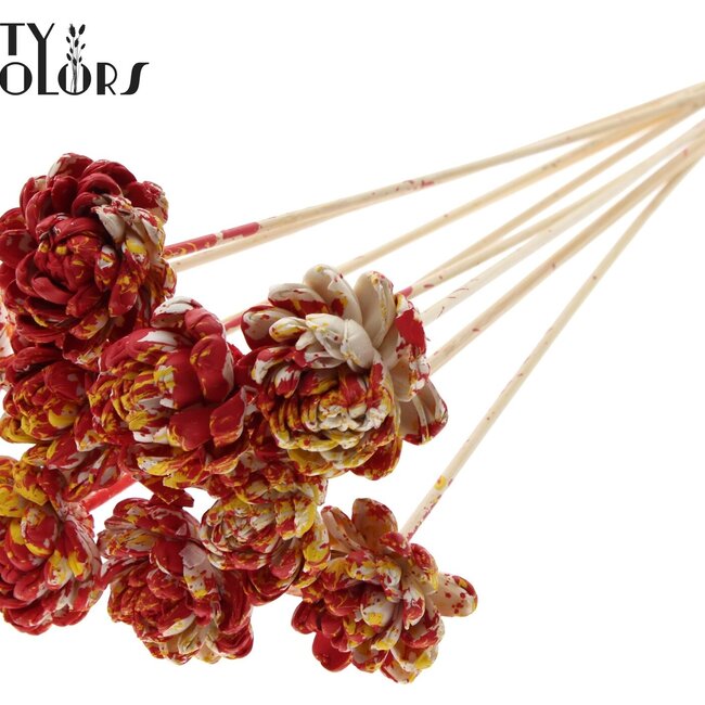 Shola Houten Rose sur tige | Couleur : Multicolore Rouge Jaune | Shola New Beauty Rose Pique-fleur | Diamètre de la rose 6 centimètres | Longueur du pique-fleur ± 50 centimètres | Par 10 piques-fleurs