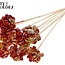 Shola Houten Rose auf Stiel | Farbe: Mehrfarbig Rot Gelb | Shola New Beauty Rose Stecker | Durchmesser Rose 6 Zentimeter | Länge Stecker ± 50 Zentimeter | Pro 10 Stecker