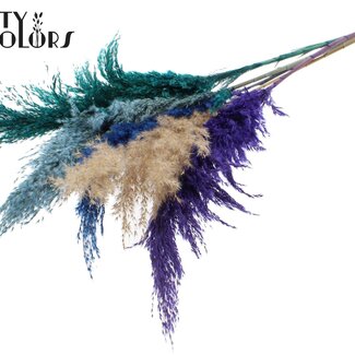 QC Gedroogde Pampas Pluimen | Scandinavische Kleuren | Kleur: Gemengde Kleuren | Pampas Droogbloemen | Lengte ± 100 centimeter | 5 pluimen per bos | Per bos