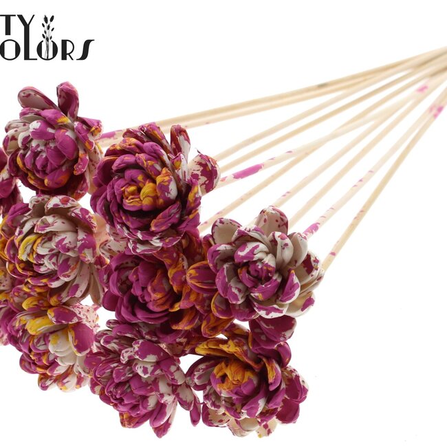 Shola Houten Roos op stok | Kleur: Meerkleurig Kerskleurig Geel | Shola New Beauty Rose Bijsteker | Diameter roos 6 centimeter | Lengte bijsteker ± 50 centimeter | Per 10 bijstekers