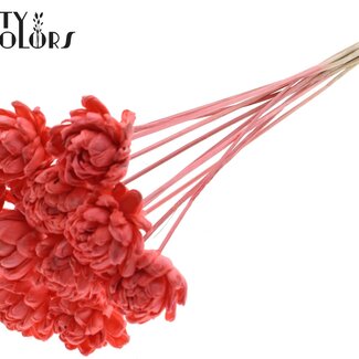 QC Shola Wooden Rose on Stick | Colour: Coral Red | Shola New Beauty Rose Stick | Rose Diameter 6 centimetres | Stick Length ± 50 centimetres | Per 10 sticks