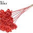 Shola Houten Rose sur tige | Couleur : Rouge corail | Shola New Beauty Rose Pique-fleur | Diamètre de la rose 6 centimètres | Longueur du pique-fleur ± 50 centimètres | Par 10 piques-fleurs