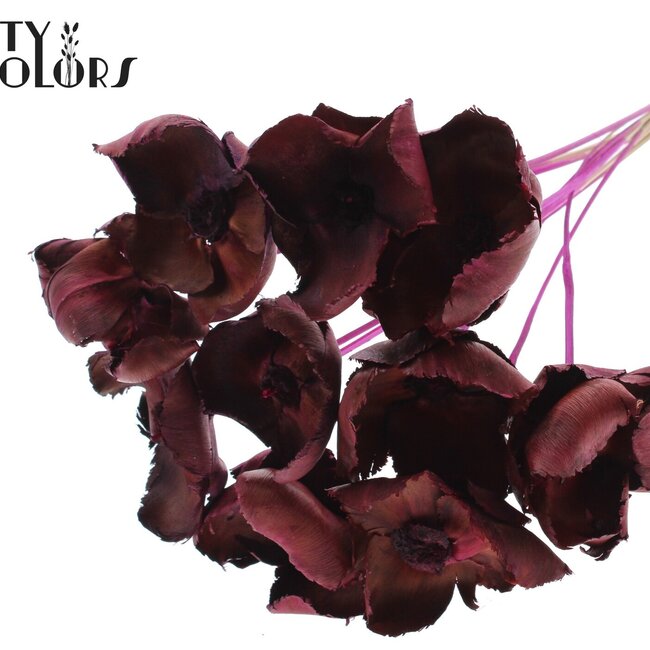 Dried Palm Cup on stem | Colour: Lilac | Length ± 50 centimetres | Per 10 stems