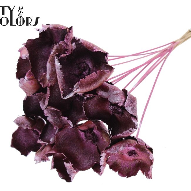 Dried Palm Cup on stem | Colour: Pink Metallic | Length ± 50 centimetres | Per 10 stems