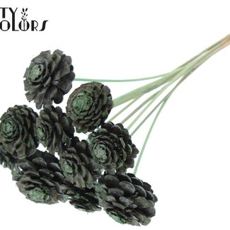 QC Pomme de pin coupée sur tige | Couleur : Vert menthe givré | Diamètre de la pomme de pin 5 - 7 centimètres | Longueur ± 50 centimètres | Par 10 piques supplémentaires