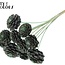 Sliced Pine Cone on Stick | Colour: Frosted Mint Green | Pine Cone Diameter 5 - 7 centimetres | Length ± 50 centimetres | Per 10 picks