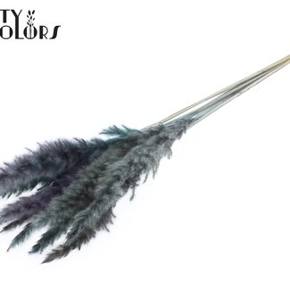QC Gedroogde Fluffy Pampas | Kleur: Lichtblauw | Pampas Droogbloemen | Lengte ± 70 centimeter | 10 pluimen per bos | Per bos