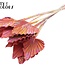 Palmier Séché en Lance | Couleur : Multicolore Cerise | Feuilles de palmier en forme de lance | Longueur ± 50 centimètres | Par 10 branches