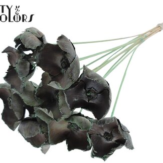 QC Gedroogde Palm Cup op steel | Kleur: Mintgroen | Lengte ± 50 centimeter | Per 10 stelen