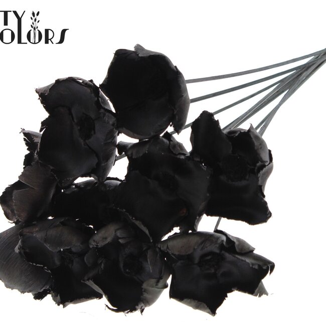 Dried Palm Cup on stem | Colour: Black | Length ± 50 centimetres | Per 10 stems