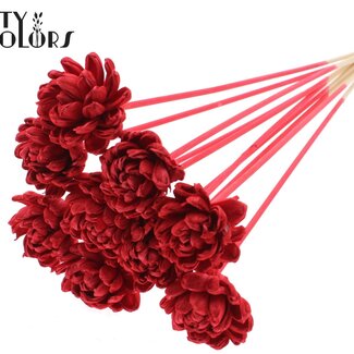 QC Shola Houten Rose sur tige | Couleur : Rouge | Shola New Beauty Rose Pique-fleur | Diamètre de la rose 6 centimètres | Longueur du pique-fleur ± 50 centimètres | Par 10 piques-fleurs