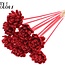 Shola Houten Roos op stok | Kleur: Rood | Shola New Beauty Rose Bijsteker | Diameter roos 6 centimeter | Lengte bijsteker ± 50 centimeter | Per 10 bijstekers