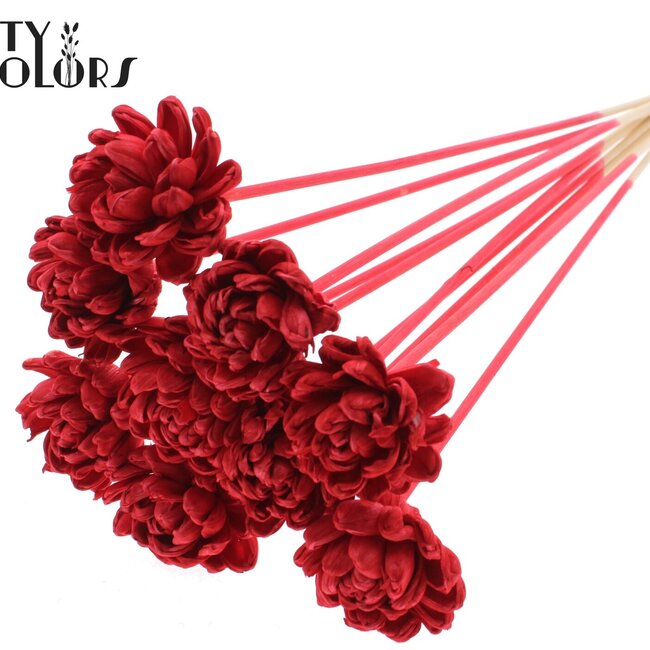 Shola Wooden Rose on Stick | Colour: Red | Shola New Beauty Rose Stick | Rose Diameter 6 centimetres | Stick Length ± 50 centimetres | Per 10 sticks