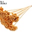 Shola Houten Rose sur tige | Couleur : Abricot | Shola New Beauty Rose Pique-fleur | Diamètre de la rose 6 centimètres | Longueur du pique-fleur ± 50 centimètres | Par 10 piques-fleurs