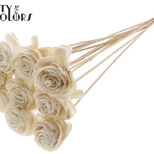 Shola Wood with Rose on Stick | Colour: White | Shola Beauty Rose Stick | Rose Diameter 6 centimetres | Stick Length ± 50 centimetres | Per 10 sticks