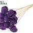 Shola Bois avec Rose sur tige | Couleur : Lila laiteux | Shola Beauty Rose Pique-fleur | Diamètre de la rose 6 centimètres | Longueur du pique-fleur ± 50 centimètres | Par 10 piques-fleurs