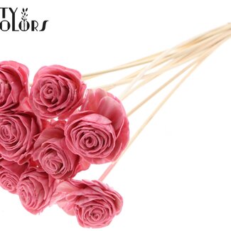 QC Shola Bois avec Rose sur tige | Couleur : Rose clair | Shola Beauty Rose Pique-fleur | Diamètre de la rose 6 centimètres | Longueur du pique-fleur ± 50 centimètres | Par 10 piques-fleurs