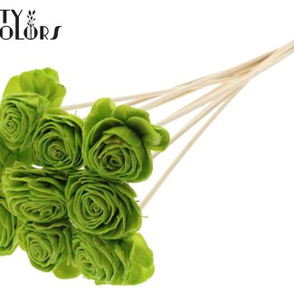 QC Shola Bois avec Rose sur tige | Couleur : Vert clair | Shola Beauty Rose Pique-fleur | Diamètre de la rose 6 centimètres | Longueur du pique-fleur ± 50 centimètres | Par 10 piques-fleurs