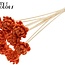 Shola Hout met was Roos op stok | Kleur: Oranje | Shola New Beauty Rose Bijsteker | Diameter roos 6 centimeter | Lengte bijsteker ± 50 centimeter | Per 10 bijstekers