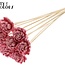 Shola Hout met was Roos op stok | Kleur: Lichtroze | Shola New Beauty Rose Bijsteker | Diameter roos 6 centimeter | Lengte bijsteker ± 50 centimeter | Per 10 bijstekers
